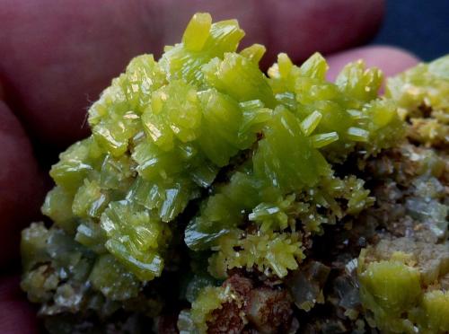 Piromorfita<br />San Andrés Mine, Espiel, Comarca Valle del Guadiato, Córdoba, Andalusia, Spain<br />7 x 6 cm.<br /> (Autor: javier ruiz martin)