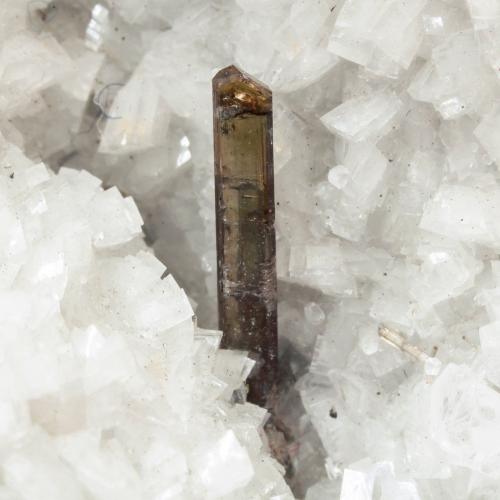 Dissakisite-(Ce)/Allanite-(Ce) with Dolomite<br />Trimouns Mine, Luzenac, Haute-Ariège, Foix, Ariège Department, Occitanie, France<br />Crystal size: 0.9 × 0.1 cm<br /> (Author: Jordi Fabre)