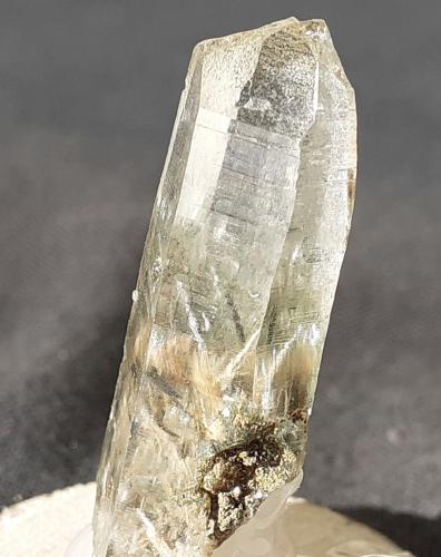 Quartz, Actinolite, Tremolite<br />Saurüssel, Mörchner area, Zemmgrund, Ziller Valley (Zillertal), North Tyrol, Tyrol/Tirol, Austria<br />3 x 1 cm<br /> (Author: Volkmar Stingl)