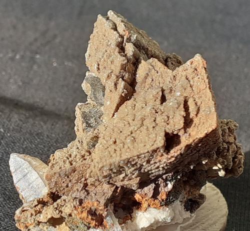 Limonite ps. after Siderite, Quartz<br />Saurüssel, Mörchner area, Zemmgrund, Ziller Valley (Zillertal), North Tyrol, Tyrol/Tirol, Austria<br />4 x 3 cm<br /> (Author: Volkmar Stingl)