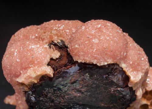 Rhodochrosite on Hisingerite-Neotocite (Series)<br />Santa Eulalia District, Municipio Aquiles Serdán, Chihuahua, Mexico<br /><br /> (Author: Jordi Fabre)