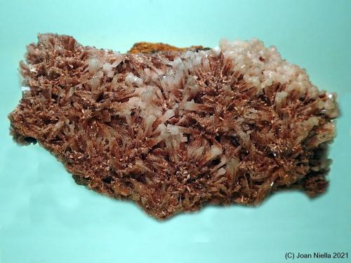 Hemimorfita<br />Mapimí, Municipio Mapimí, Durango, México<br />80x50 mm<br /> (Autor: Joan Niella)