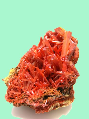 Crocoite<br />Adelaide Mine, Dundas mineral field, Zeehan District, West Coast Council, Tasmania, Australia<br />12 x 10 cm<br /> (Author: Jean Suffert)
