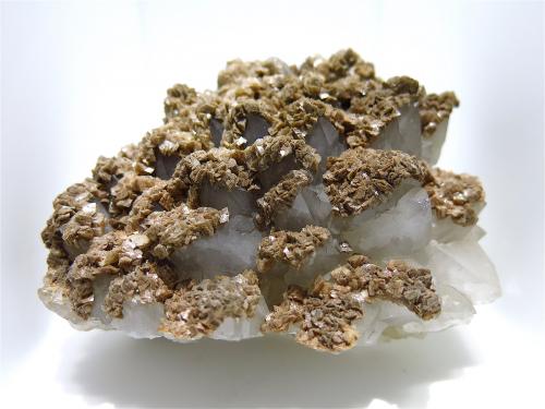 Ankerite on Quartz<br />Mina Sankt Johann (Mina Engelsbourg), filón Sankt Johann, Neuenberg, Sainte-Marie-aux-Mines, Colmar-Ribeauvillé, Haut-Rhin, Grand Est, Francia<br />15 x 10 cm<br /> (Author: Jean Suffert)