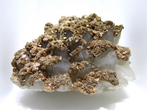 Ankerite on Quartz<br />Sankt Johann Mine (Engelsbourg Mine), Sankt Johann vein, Neuenberg Mountain, Sainte-Marie-aux-Mines, Colmar-Ribeauvillé, Haut-Rhin, Grand Est, France<br />15 x 10 cm<br /> (Author: Jean Suffert)