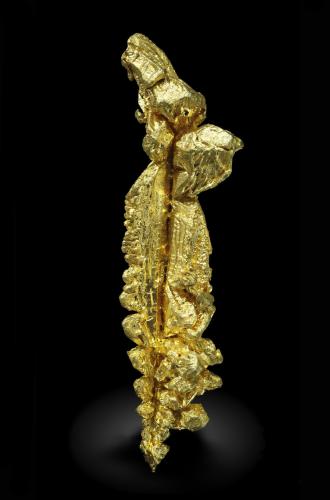 Gold<br />Aouint Ighoman, Assa-Zag Province, Guelmim-Oued Noun Region, Morocco<br />2.0 x 0.5 cm<br /> (Author: Michael Shaw)