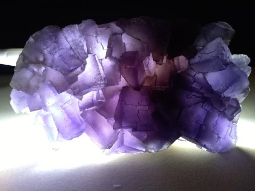 Fluorite<br />Mina Is Murvonis, Domusnovas, Provincia Sud Sardegna, Cerdeña/Sardegna, Italia<br />11,5 x 7,5 cm<br /> (Author: Sante Celiberti)