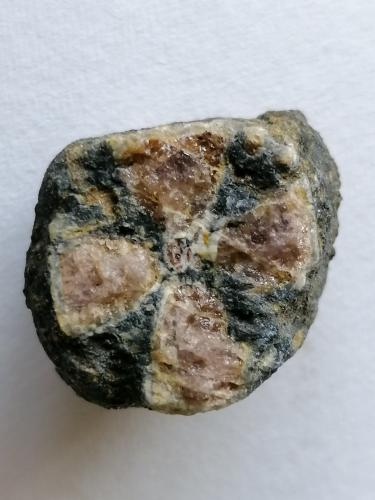 Andalucita (variedad quiastolita).<br />Afloramiento de quiastolitas, San Isidoro de Potsmarcos, A Pobra do Caramiñal, Comarca A Barbanza, La Coruña / A Coruña, Galicia / Galiza, España<br />3 x 3 cm.<br /> (Autor: Rafael varela olveira)