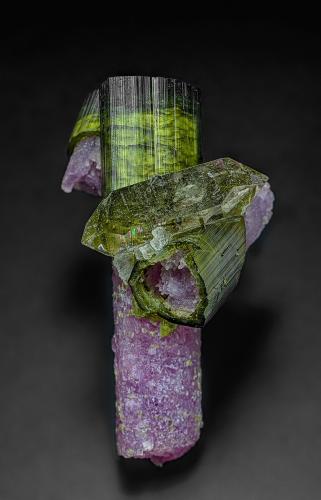 Elbaite, Lepidolite, Quartz<br />Pederneira claim, São José da Safira, Governador Valadares, Vale do Rio Doce, Minas Gerais, Brazil<br />6.5 x 4.2 cm<br /> (Author: am mizunaka)