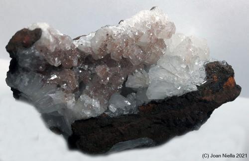 Hemimorfita<br />Mina Ojuela, Mapimí, Municipio Mapimí, Durango, México<br />70x40 mm<br /> (Autor: Joan Niella)