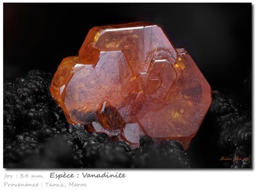 Vanadinite<br />Taouz, Er Rachidia Province, Drâa-Tafilalet Region, Morocco<br />fov 3.7 mm<br /> (Author: ploum)