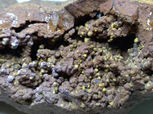 Smithsonita (pseudomorfica de Calcita), Greenockita<br />Mina Campo Pisano, Iglesias, Provincia Sud Sardegna, Cerdeña/Sardegna, Italia<br />67 x 50 mm<br /> (Autor: Sante Celiberti)