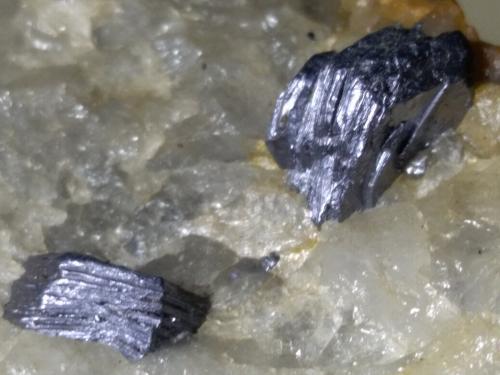 Molibdenita<br />Perda de Pibera Mine, Gonnosfanadiga, Sud Sardegna Province, Sardinia/Sardegna, Italy<br />113 x 71 mm<br /> (Autor: Sante Celiberti)