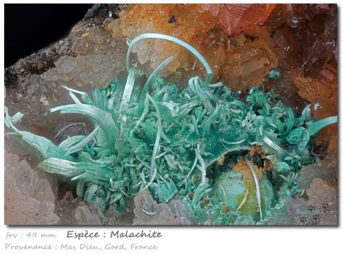 Malachite<br />Mas Dieu, Mercoirol, Alès, Gard, Occitanie, France<br />fov 4.9 mm<br /> (Author: ploum)