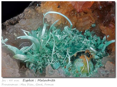 Malachite<br />Mas Dieu, Mercoirol, Alès, Gard, Occitanie, France<br />fov 4.9 mm<br /> (Author: ploum)