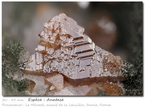 Anatase<br />Grand Pic de la Lauzière, Macizo La Lauzière, Saint-Jean-de-Maurienne, Saboya, Auvergne-Rhône-Alpes, Francia<br />fov 4.9 mm<br /> (Author: ploum)