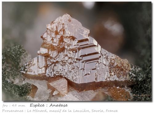 Anatase<br />Grand Pic de la Lauzière, La Lauzière Massif, Saint-Jean-de-Maurienne, Savoie, Auvergne-Rhône-Alpes, France<br />fov 4.9 mm<br /> (Author: ploum)