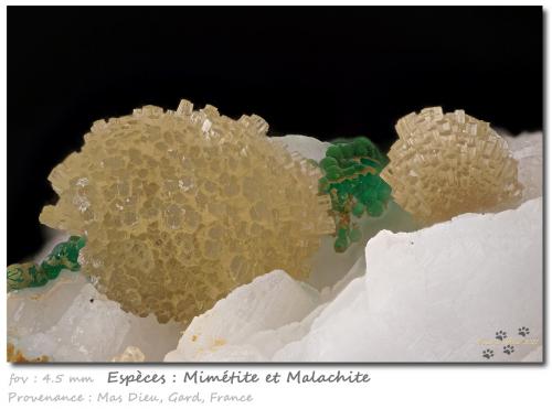 Mimetite and Malachite<br />Mas Dieu, Mercoirol, Alès, Gard, Occitanie, France<br />fov 4.5 mm<br /> (Author: ploum)