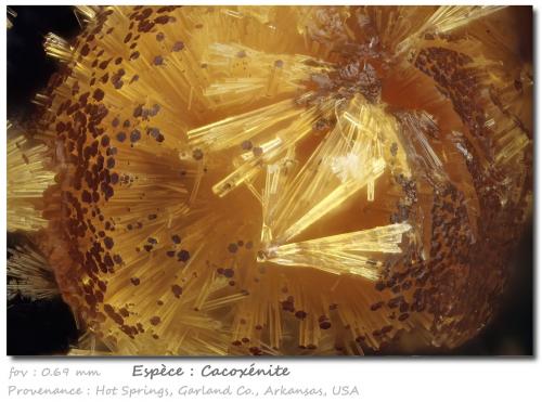 Cacoxenite<br />Hot Springs, Garland County, Arkansas, USA<br />fov 0.69 mm<br /> (Author: ploum)