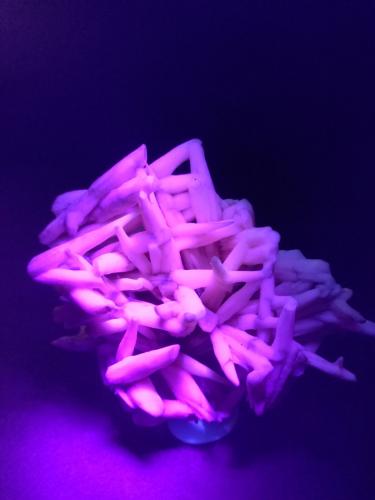 Calcite<br />Pachapaqui mining district, Pachapaqui, Aquia District, Bolognesi Province, Ancash Department, Peru<br />66 x 58 mm<br /> (Author: Sante Celiberti)