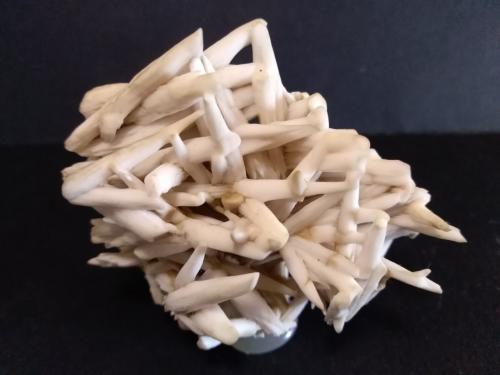 Calcite<br />Pachapaqui mining district, Pachapaqui, Aquia District, Bolognesi Province, Ancash Department, Peru<br />66 x 58 mm<br /> (Author: Sante Celiberti)