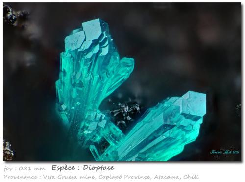 Dioptase<br />Veta Gruesa Mine, Garín Nuevo District, Copiapó Province, Atacama Region, Chile<br />fov 0.81 mm<br /> (Author: ploum)