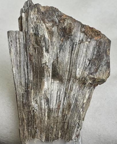 Anthophyllite, Almandine<br />Monteneve Mine (Schneeberg Mine), Val Passiria/Passeiertal, Moso in Passiria (Moos in Passeier), Trento Province, Trentino-Alto Adige (Trentino-Südtirol), Italy<br />5,5 x 3,5 cm<br /> (Author: Volkmar Stingl)