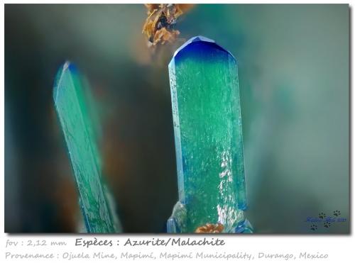 Azurite/Malachite<br />Ojuela Mine, Mapimí, Municipio Mapimí, Durango, Mexico<br />fov 2.1 mm<br /> (Author: ploum)