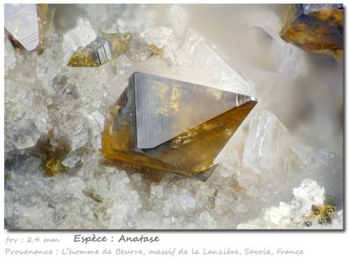 Anatase<br />L'Homme de Beurre, Macizo La Lauzière, Saint-Jean-de-Maurienne, Saboya, Auvergne-Rhône-Alpes, Francia<br />fov 2.4 mm<br /> (Author: ploum)