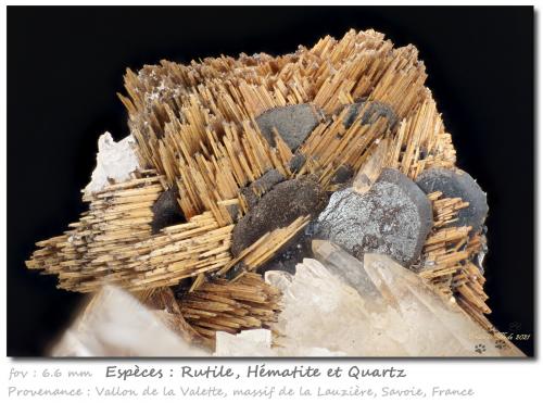 Rutile and Hematite on QUartz<br />Vallon de la Valette, La Lauzière Massif, Saint-Jean-de-Maurienne, Savoie, Auvergne-Rhône-Alpes, France<br />fov 6.6 mm<br /> (Author: ploum)