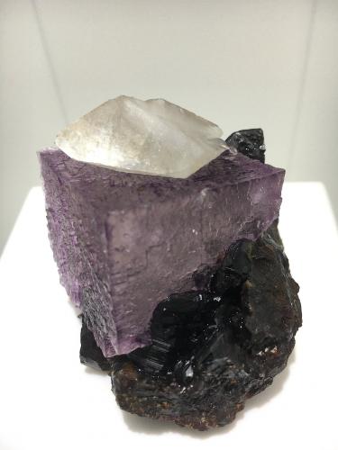 Calcite on Fluorite on Sphalerite<br />Elmwood Mine, Carthage, Central Tennessee Ba-F-Pb-Zn District, Smith County, Tennessee, USA<br />4.5 x 4.5 cm for the fluorite cube<br /> (Author: Jean Suffert)