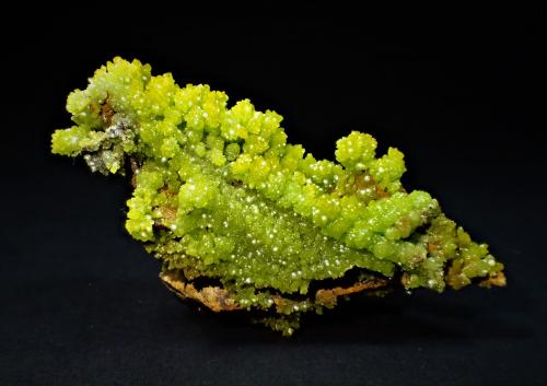 Pyromorphite<br />Gongcheng, Guilin Prefecture, Guangxi Zhuang Autonomous Region, China<br />59 mm x 29 mm 25 mm<br /> (Author: Don Lum)