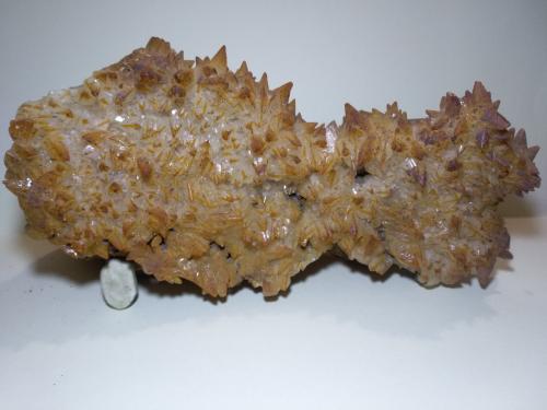 Calcite<br />Mina San Giovanni, Punta della Torre, Iglesias, Provincia Sud Sardegna, Cerdeña/Sardegna, Italia<br />30 x 14 cm<br /> (Author: Sante Celiberti)