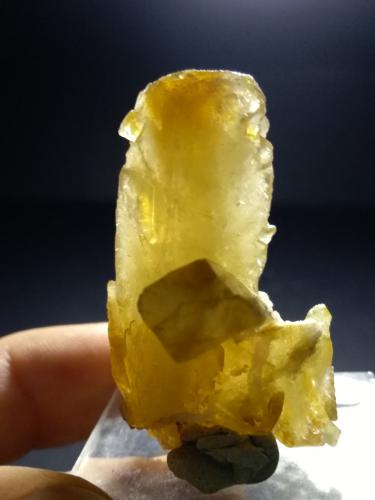 Baryte<br />Mina Muscadroxius-Genna Tres Montis, Silius, Provincia Sud Sardegna, Cerdeña/Sardegna, Italia<br />42 x 28 mm<br /> (Author: Sante Celiberti)