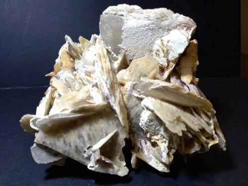 Baryte<br />Mina Monteponi, Iglesias, Provincia Sud Sardegna, Cerdeña/Sardegna, Italia<br />16,5 x 15,5 cm<br /> (Author: Sante Celiberti)