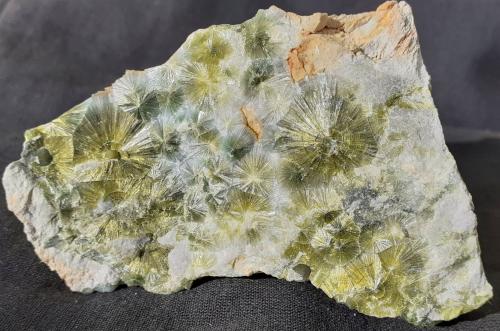 Wavellite<br />Dug Hill, Avant, Garland County, Arkansas, USA<br />6,5 x 5 cm<br /> (Author: Volkmar Stingl)