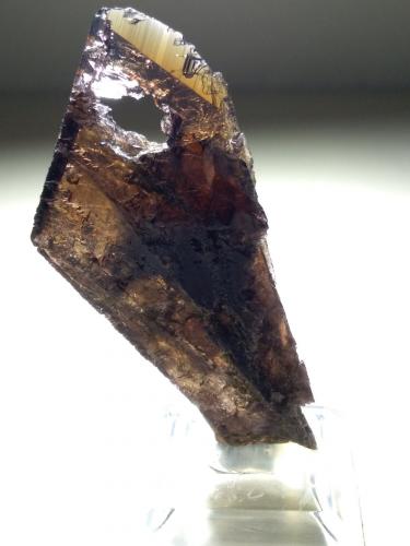 Axinite-(Fe)<br />Khapalu, Distrito Ghanche, Gilgit-Baltistan (Áreas del Norte), Paquistán<br />64 x 30 mm<br /> (Author: Sante Celiberti)
