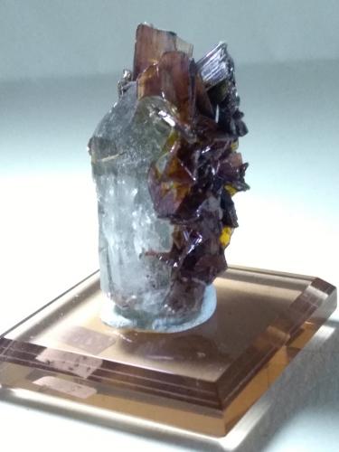 Brookite, Quartz<br />Taftan, Chagai District, Balochistan (Baluchistan), Pakistan<br />40 x 26 mm<br /> (Author: Sante Celiberti)