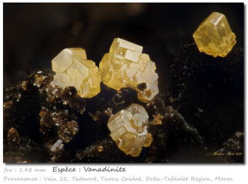 Vanadinite<br />Tadaout, vein 12, Taouz, Er Rachidia Province, Drâa-Tafilalet Region, Morocco<br />fov 1.48 mm<br /> (Author: ploum)
