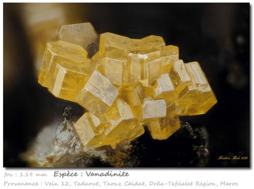 Vanadinite<br />Tadaout, filón 12, Taouz, Provincia Er Rachidia, Región Drâa-Tafilalet, Marruecos<br />fov 1.19 mm<br /> (Author: ploum)