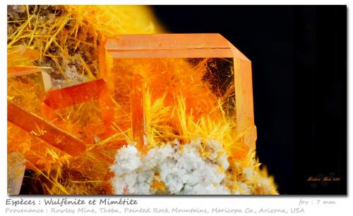 Wulfenite and Mimetite<br />Rowley Mine, Theba, Painted Rock District, Painted Rock Mountains, Maricopa County, Arizona, USA<br />fov 7 mm<br /> (Author: ploum)