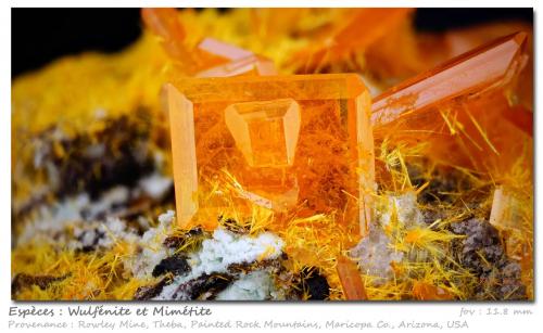 Wulfenite and Mimetite<br />Rowley Mine, Theba, Painted Rock District, Painted Rock Mountains, Maricopa County, Arizona, USA<br />fov 11.8 mm<br /> (Author: ploum)