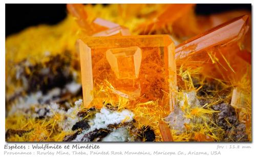 Wulfenite and Mimetite<br />Mina Rowley, Theba, Distrito Painted Rock, Montes Painted Rock, Condado Maricopa, Arizona, USA<br />fov 11.8 mm<br /> (Author: ploum)