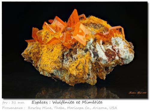 Wulfenite and Mimetite<br />Rowley Mine, Theba, Painted Rock District, Painted Rock Mountains, Maricopa County, Arizona, USA<br />fov 31 mm<br /> (Author: ploum)