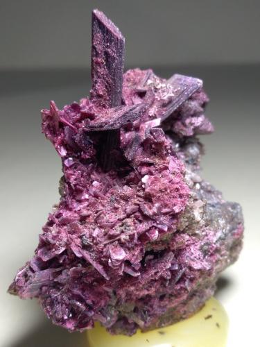Erythrite<br />Distrito minero Bou Azzer, Región Drâa-Tafilalet, Marruecos<br />60 x 48 mm<br /> (Author: Sante Celiberti)