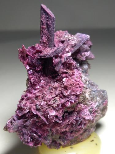 Erythrite<br />Bou Azzer mining district, Drâa-Tafilalet Region, Morocco<br />60 x 48 mm<br /> (Author: Sante Celiberti)