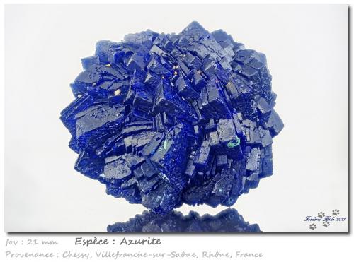 Azurite<br />Chessy-les-Mines, Les Bois d'Oingt, Villefranche-sur-Saône, Rhône, Auvergne-Rhône-Alpes, France<br />fov 21 mm<br /> (Author: ploum)