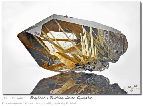 Rutile in quartz<br />Novo Horizonte, Bahia, Northeast Region, Brazil<br />fov 39 mm<br /> (Author: ploum)