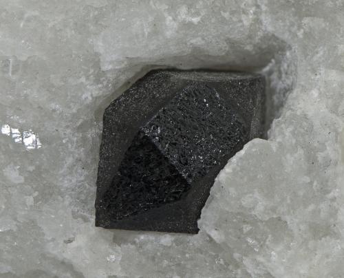 Quartz<br />Monte Rosso, Castelnovo ne' Monti, Reggio Emilia Province, Emilia-Romagna, Italy<br />14 mm (crystal)<br /> (Author: Rob Schnerr)