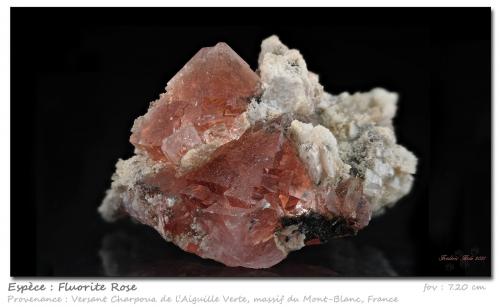 Fluorite<br />Aiguille Verte (lado La Charpoua), Mont Blanc, Chamonix, Haute-Savoie, Auvergne-Rhône-Alpes, Francia<br />fov 7.20 cm<br /> (Author: ploum)